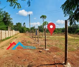 DIANI PRIME PLOTS