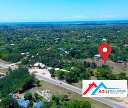 DIANI PRIME PLOTS